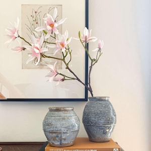 May include: Two small, blue-grey ceramic vases with horizontal ridges hold branches of pink magnolia blossoms. The vases sit on a wooden surface, with a framed botanical print and books in the background.