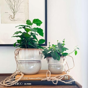 May include: Two ceramic hanging planters with green plants sit on a stack of books. The planters are light grey with a brown rim and are connected by a rope. A botanical print hangs in the background.