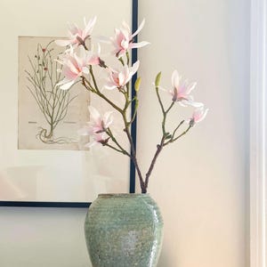 May include: A light green ceramic vase holds branches of pink and white magnolia blossoms. The vase sits on a wooden surface with a book titled "Trees, Timbers and Forests of the World". A framed botanical print hangs in the background.
