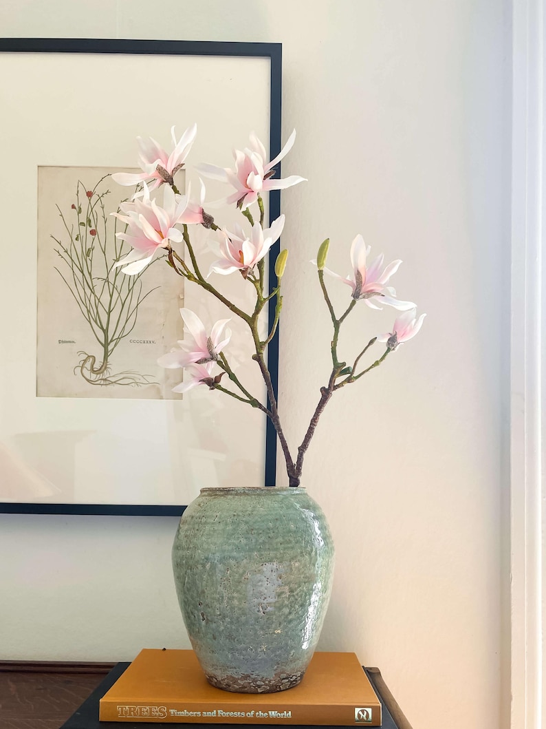 May include: A light green ceramic vase holds branches of pink and white magnolia blossoms. The vase sits on a wooden surface with a book titled "Trees, Timbers and Forests of the World". A framed botanical print hangs in the background.
