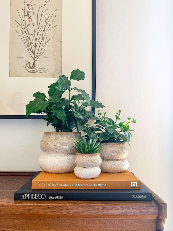 Ceramic Plant Pot Set of 3 with Drainage, Modern Sculptural Planters, Speckled Indoor Pots for Houseplants, Succulents or Herbs, Noemi