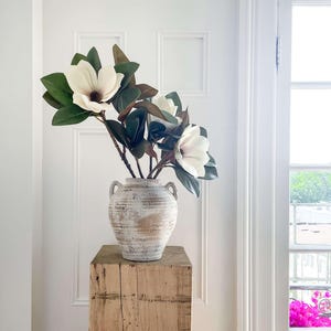 K&ouml;nnte beinhalten: Eine wei&szlig; get&uuml;nchte Vase mit zwei Griffen enth&auml;lt mehrere gro&szlig;e wei&szlig;e Magnolienbl&uuml;ten mit dunkelgr&uuml;nen Bl&auml;ttern. Die Vase steht auf einem verwitterten, hellen Holzsockel vor einer wei&szlig;en T&uuml;r.