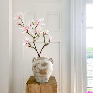 K&ouml;nnte beinhalten: Eine cremefarbene Vase mit zwei Henkeln, gef&uuml;llt mit rosa und wei&szlig;en Magnolienbl&uuml;ten. Die Vase steht auf einem verwitterten, quadratischen Holzsockel. Im Hintergrund eine wei&szlig;e T&uuml;r und ein Fenster.