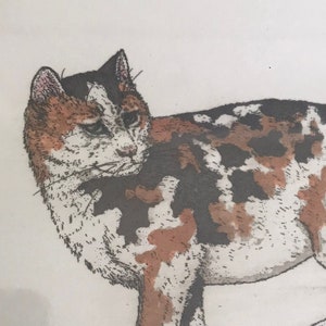 May include: A framed print featuring a detailed illustration of a calico cat with brown, black, and white markings. The cat is standing with its tail up, and another cat is partially visible to the right. The artist's initials are in the lower left corner.