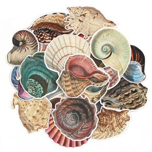 Vintage Conch Shell Stickers, Laptop Stickers, Vinyl Stickers Pack