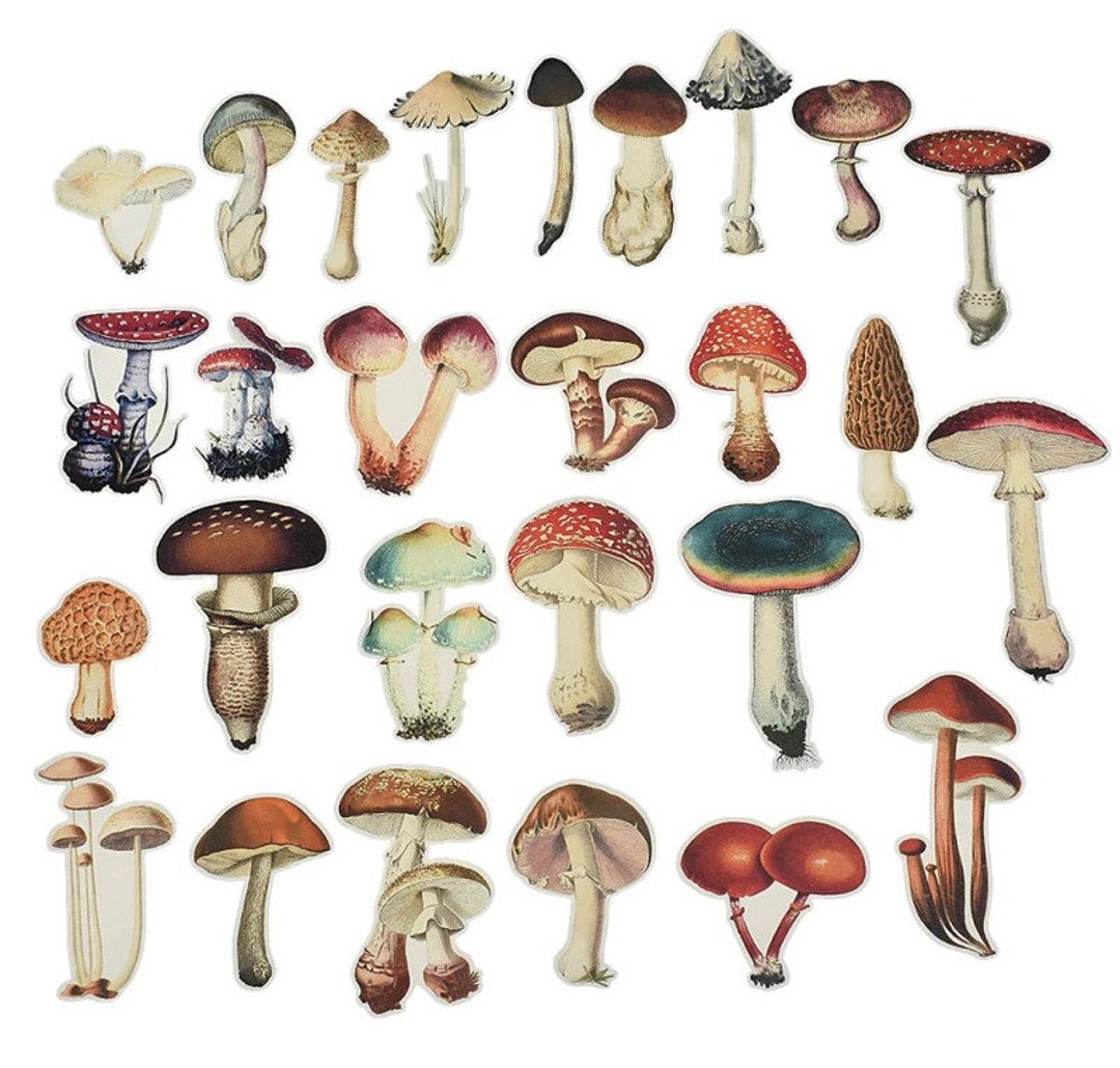 Mushrooms Stickers, Forest Mushroom Stickers, Planner Stickers, Vinyl ...