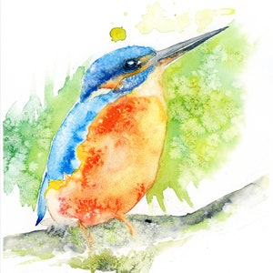 Impression aquarelle Kingfisher avec bordure (non encadrée) Imprimée sur papier aquarelle de 300gsm