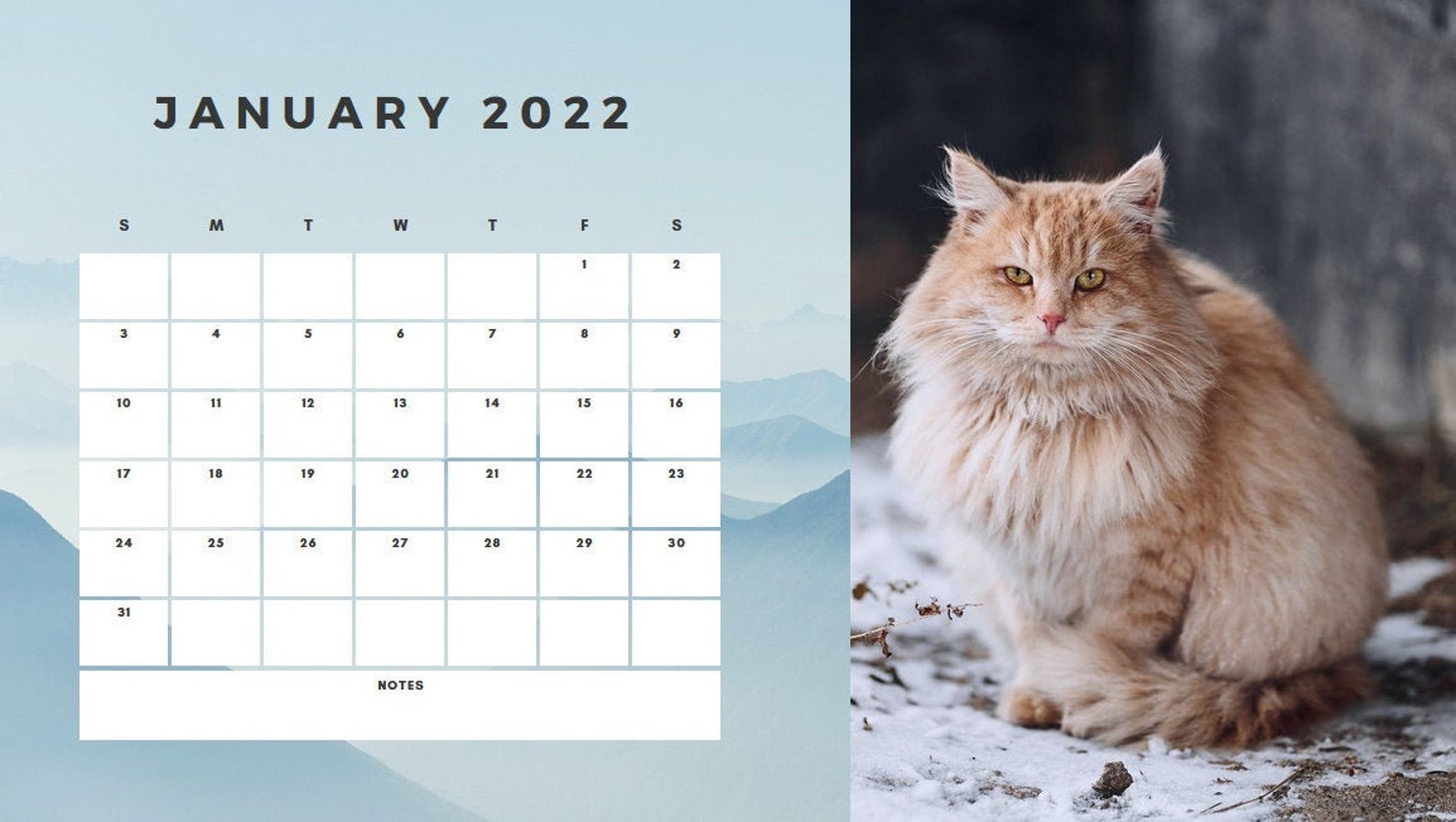 printable cat calendar 2022 for cat lovers digital desk etsy