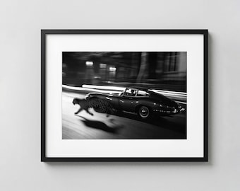 Leopard and Vintage Car Print, Black and White Luxury Photography, Classic Sports Car Wall Art, Hypebeast Automotive Poster