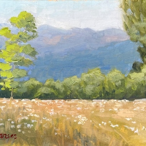 Spring Meadow