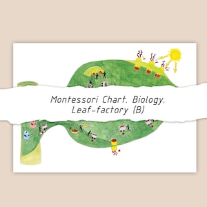 以下が含まれることがあります： 「Montessori Chart. Biology. Leaf-factory (B)」のテキストが入った、葉の工場の水彩イラスト。太陽や小さな建物など、さまざまなプロセスと人物が描かれた緑色の葉の画像です。