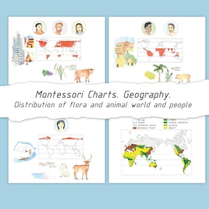 May include: A set of Montessori geography charts illustrating the distribution of flora, fauna, and people across the globe. The charts feature hand-drawn illustrations of animals, plants, and human figures, with world maps highlighting different biomes and regions. The text reads "Montessori Charts. Geography. Distribution of flora and animal world and people."