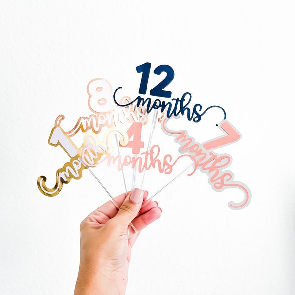 Cake Topper SVG - Baby Month SVG - Baby SVG - Monthly Cake Topper From 1 Month to 12 Months - Svg, Png, Dxf, Eps, and Pdf - Instant Download