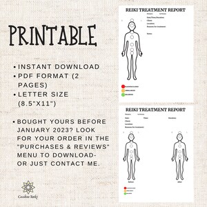 May include: Printable Reiki Treatment Report in PDF format. The report includes two pages with a human figure outline and circles representing chakras. The circles can be colored in to indicate chakra balance.