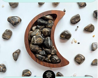 Fossilized Stromatolite, Tumbled | Capricorn Stone | Akashic Records Stone
