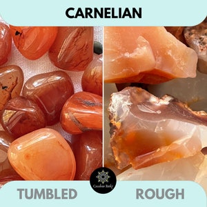 Puede incluir: La imagen muestra piedras de cornalina, tanto rodadas como en bruto. Las piedras rodadas están pulidas, con un color rojo-naranja intenso. Las piedras en bruto tienen un aspecto natural y texturizado, mostrando variaciones de color y translucidez. La palabra "CARNELIAN" está arriba.