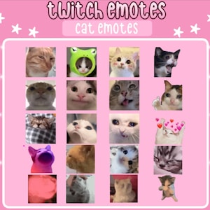 May include: A digital collection of cat emotes for Twitch, displayed in a grid on a pink background with white stars. The text reads twitch emotes and cat emotes. The grid features various cat expressions, including cats wearing hats, crying, and happy.