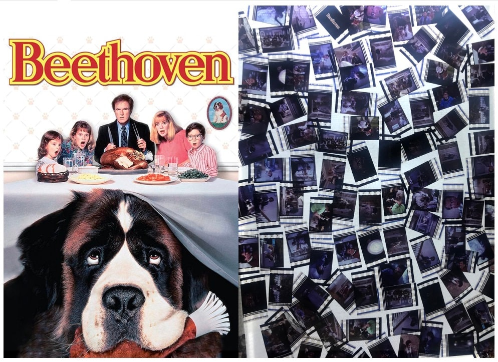 Larger Pack of 20x Genuine 35mm Clips - Beethoven (1992