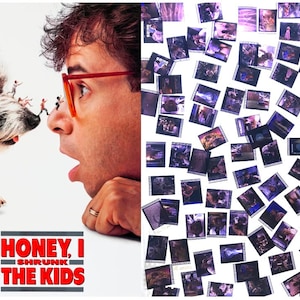 Paquete más grande de 20 clips originales de 35 mm - Cariño, encogí a los niños (1989) Paquete de película de 35 mm Filmcell