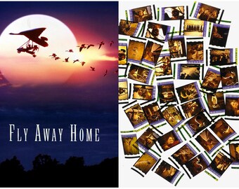 Larger Pack of 20x Genuine 35mm Clips - Fly Away Home (1996) 35mm Film Cell Movie Filmcell Pack