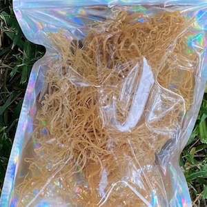 セントルシア海苔、海苔、アルカリ性、植物性、ドクターセビ、強力な免疫システムを促進