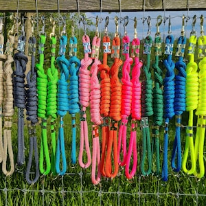 Dog Leashes - 4 Foot Length