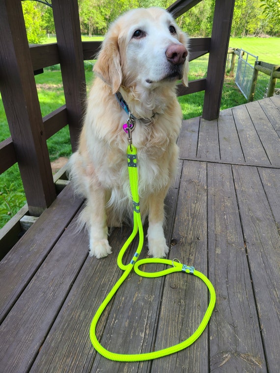 Double Handle Dog Leashes 4 1 2 Foot Length Etsy