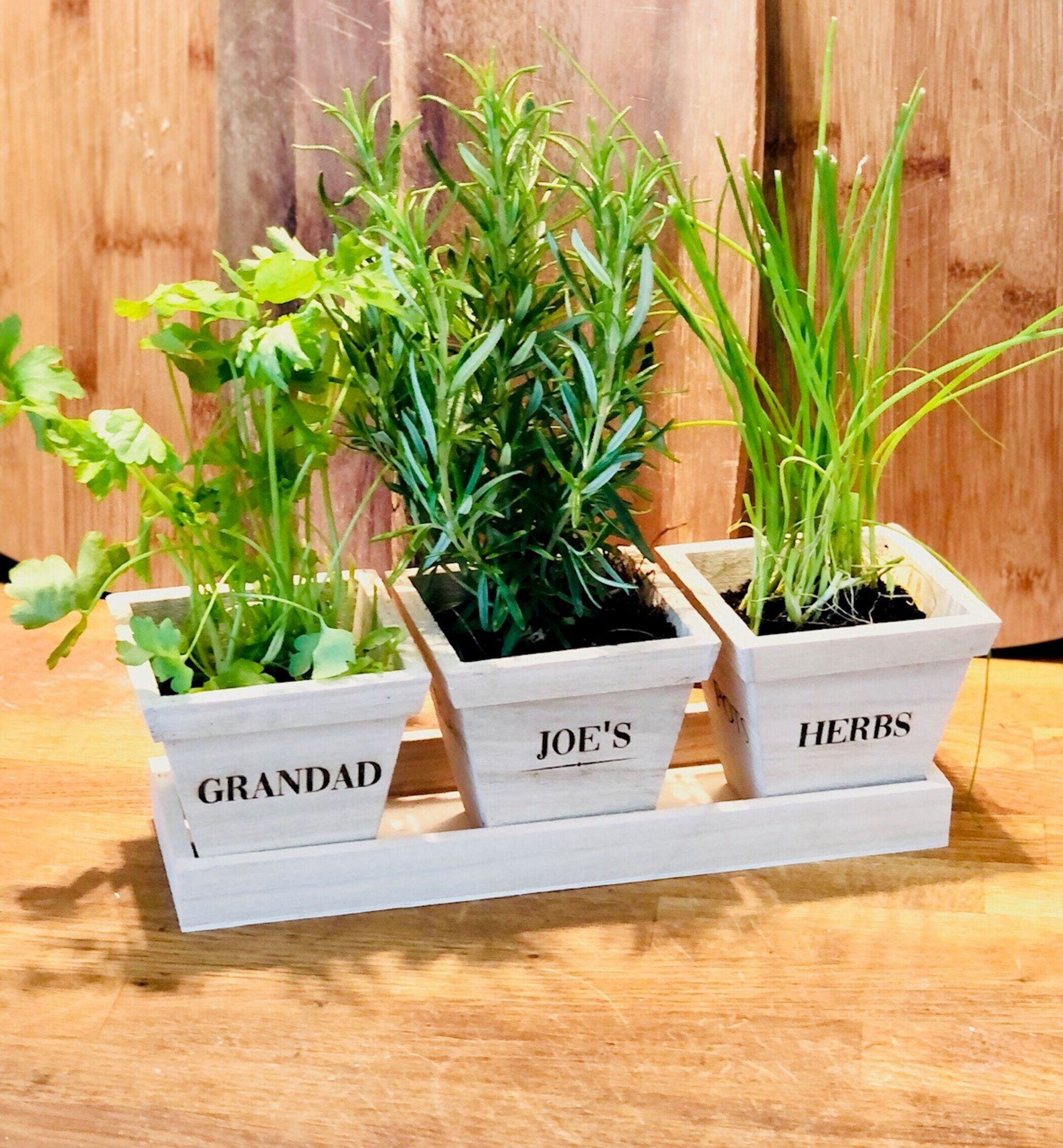 Personalised 'Herbs' Trio of Herb Pots & Tray Etsy