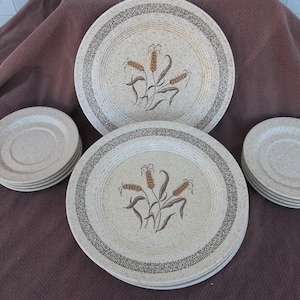 Homer Laughlin Vintage Dinnerware HLC678, Mid-Century, Very Rare 14 Piece Set, 6 Dinner Plates & 8 Saucers