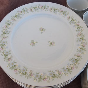 Johann Haviland, Forever Spring, 45 Piece Set Vintage Porcelain Plus Serving Piece