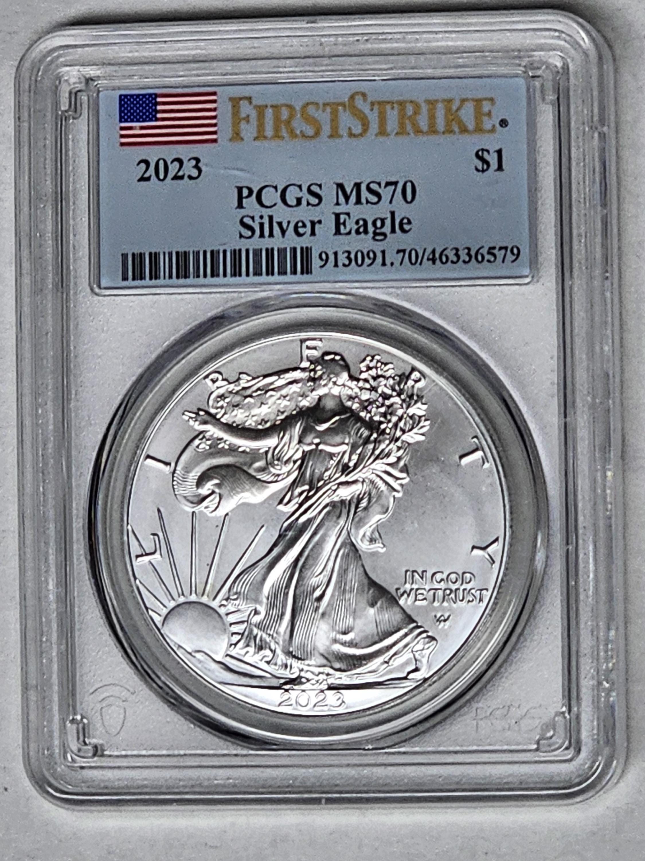 Silver Eagle 2023 Ms70 - Etsy