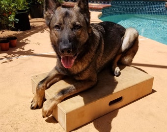 Dog Training Box Solid Wood with Handles/ Obedience Box / Shaping Box / Three Sided Box / Place Box / Position Box / Dog Trainer Business