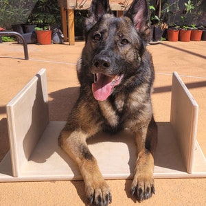 Dog Training Directional Placement Position Tool - Solid Wood + Handle/ Obedience Training/Shaping Box/Place Box/Dog Trainer Business