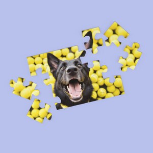 Black German Shepherd Jigsaw Puzzle - Ball Is Life - German Shepherd Surrounded By Tennis Balls 500pcs image 4