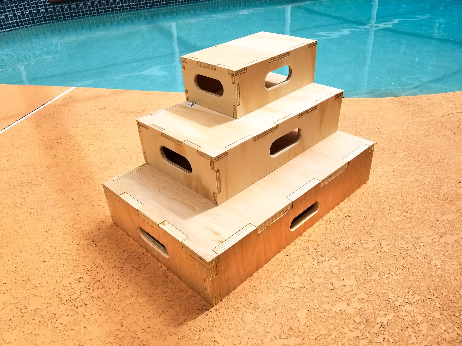 Dog Training Box Solid Wood With Handles/ Obedience Box / Etsy