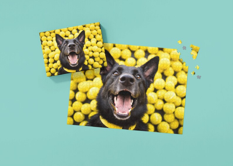 May include: A black dog with a yellow collar is surrounded by yellow tennis balls. The dog is smiling with its mouth open and tongue out. The dog is looking directly at the camera.