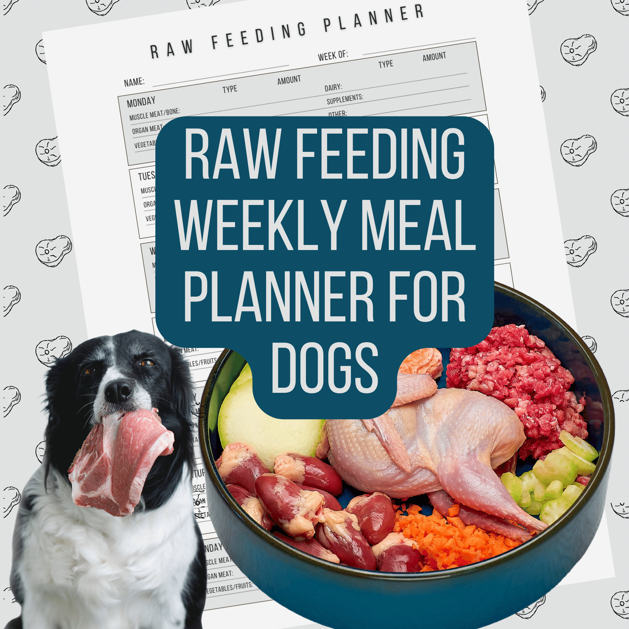 Raw Diet Organ Meat Dog Food Recipe Liver Feeding Dogs Organ Meat