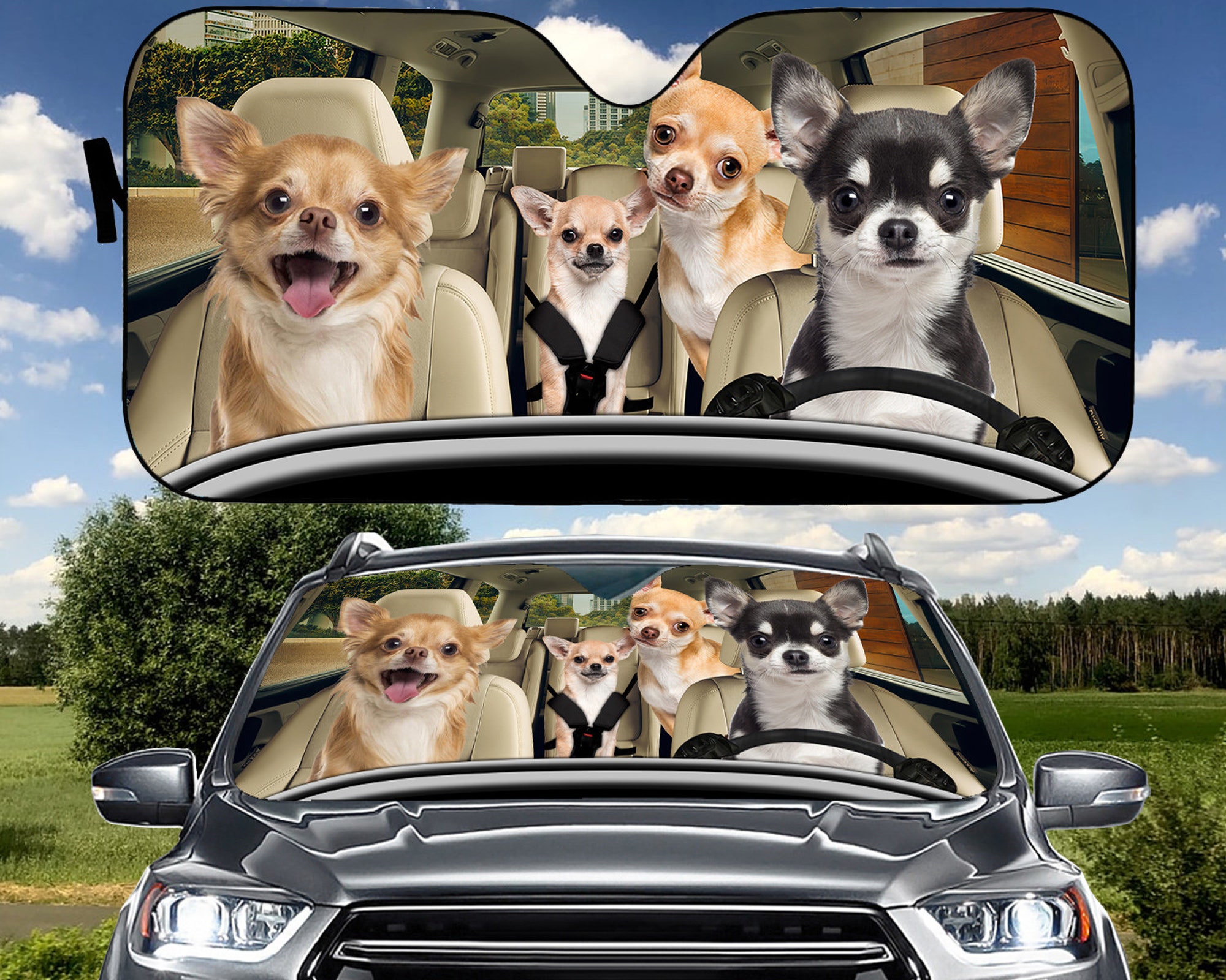 Discover Chihuahua Family Car Sunshade