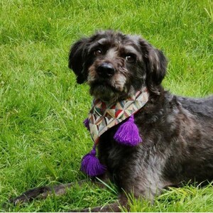 May include: A black dog wearing a patterned scarf with purple tassels, lying in green grass. The scarf features geometric shapes in red, brown, and cream colors. The dog has dark fur and is looking at the camera.
