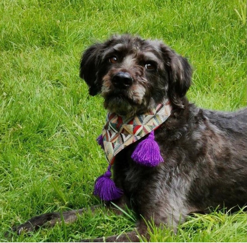 May include: A black dog wearing a patterned scarf with purple tassels, lying in green grass. The scarf features geometric shapes in red, brown, and cream colors. The dog has dark fur and is looking at the camera.