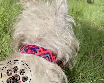 Collar colorido para perro hecho a mano con mucho amor en México, unique colorful dog collar handmade with love in Mexico
