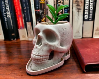 Desert Skull Planter