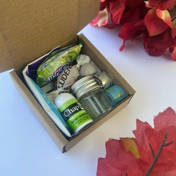 Tiny miniature care package gift box
