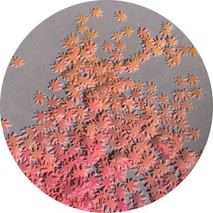 May include: A close-up of a large quantity of small, pink, star-shaped glitter. The glitter is scattered on a grey surface.