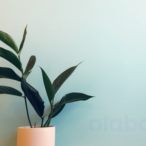 Minimalist Zoom Background (TWO) | Potted Plant Home Office Decor | Virtual Backdrop for Zoom