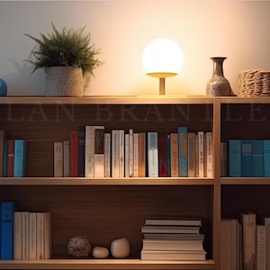 May include: A wooden bookshelf with three shelves filled with books. The top shelf has a white globe lamp, a blue vase, and two woven baskets. The text "ALAN BRANLEY" is visible on the shelf.