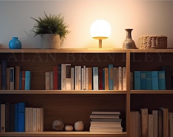 May include: A wooden bookshelf with three shelves filled with books. The top shelf has a white globe lamp, a blue vase, and two woven baskets. The text "ALAN BRANLEY" is visible on the shelf.