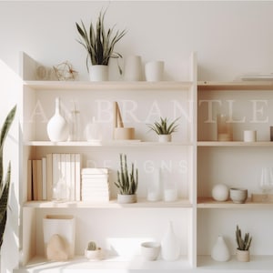 Arrière-plan du zoom virtuel | Toile de fond professionnelle d'appel vidéo blanc cassé Southwestern Bookshelf pour bureau à domicile
