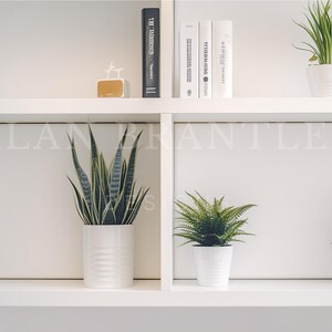 Eleganter Zoom-Hintergrund mit weißem Bücherregal und viel Grün - stilvolles virtuelles Meeting-Dekor für eine professionelle TelefonKonferenz-Atmosphäre