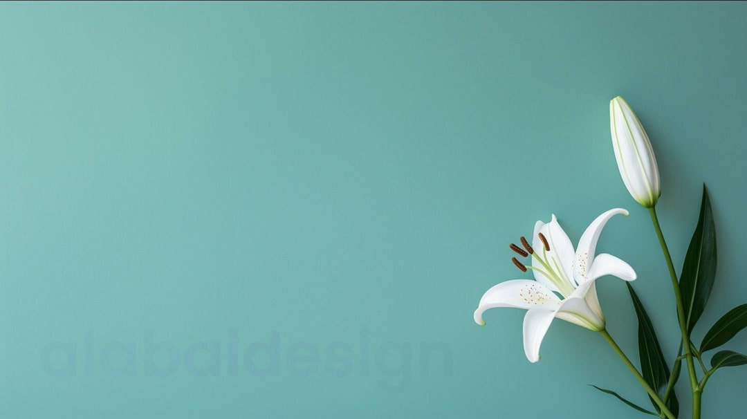Zoom Virtual Backgrounds | Backdrop | Minimal Background | Microsoft ...